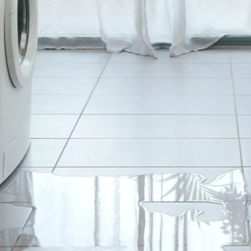 Appliance Leak Cleanup in East Valley, NV